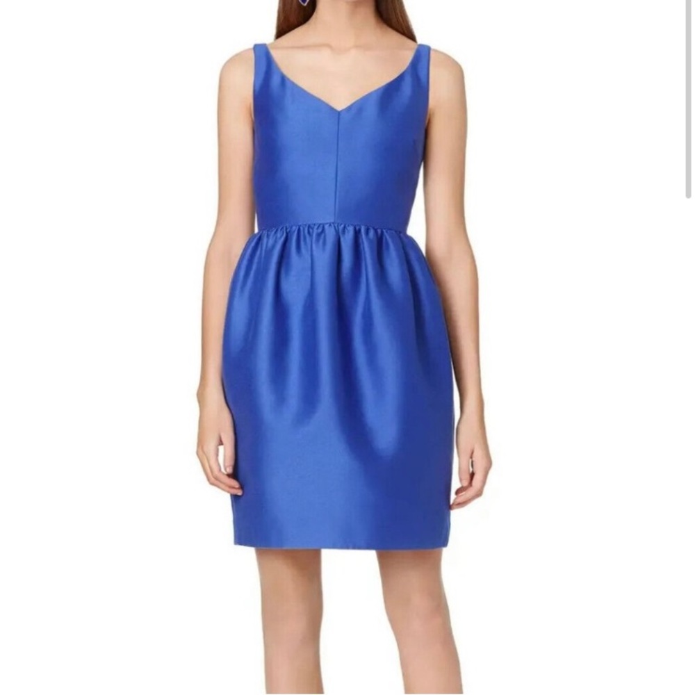 Blue Kate Spade dress!